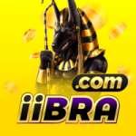 iibra Premium New