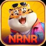 nrnr Gold Latest v2.3.5